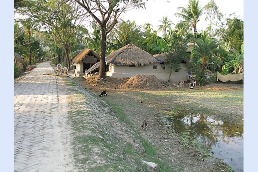 Viaggio in India 2008 - Sunderbans